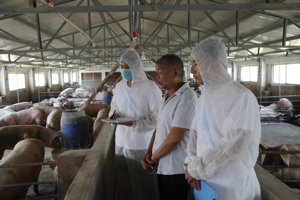 公司业务人员实地考察新农主体贷款担保项目