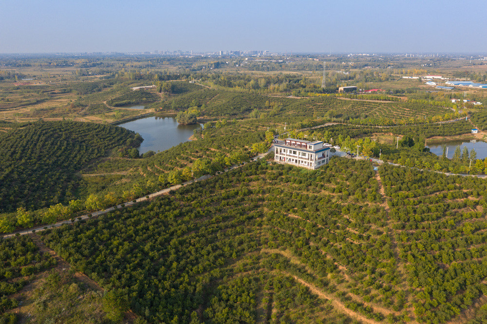 微信图片_20191010130513