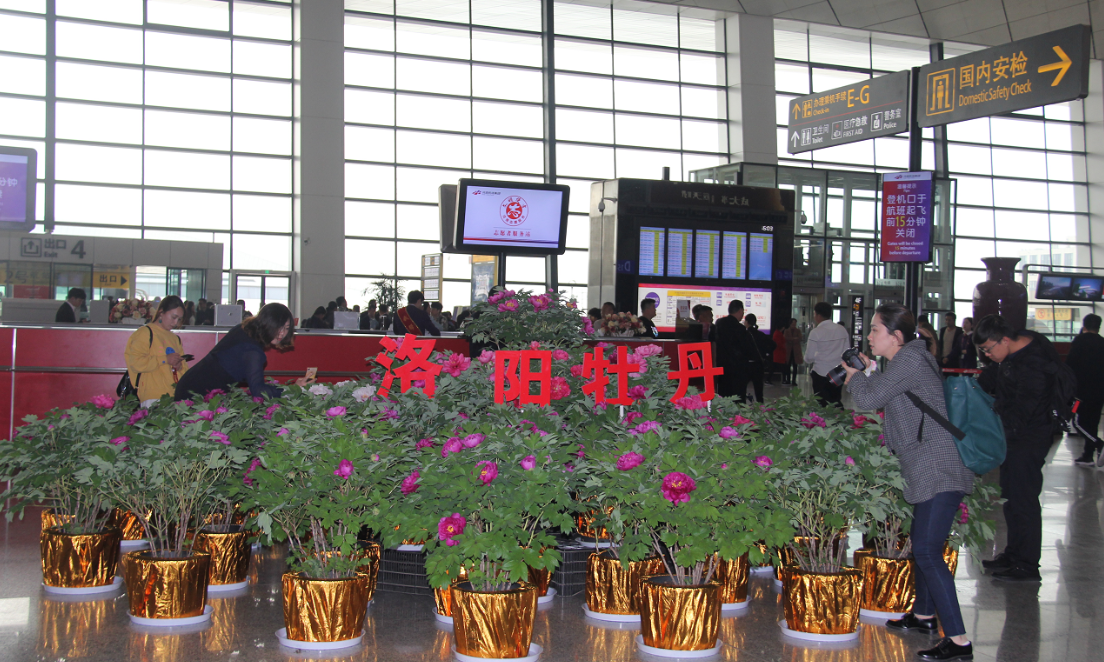 微信截图_20190411161738