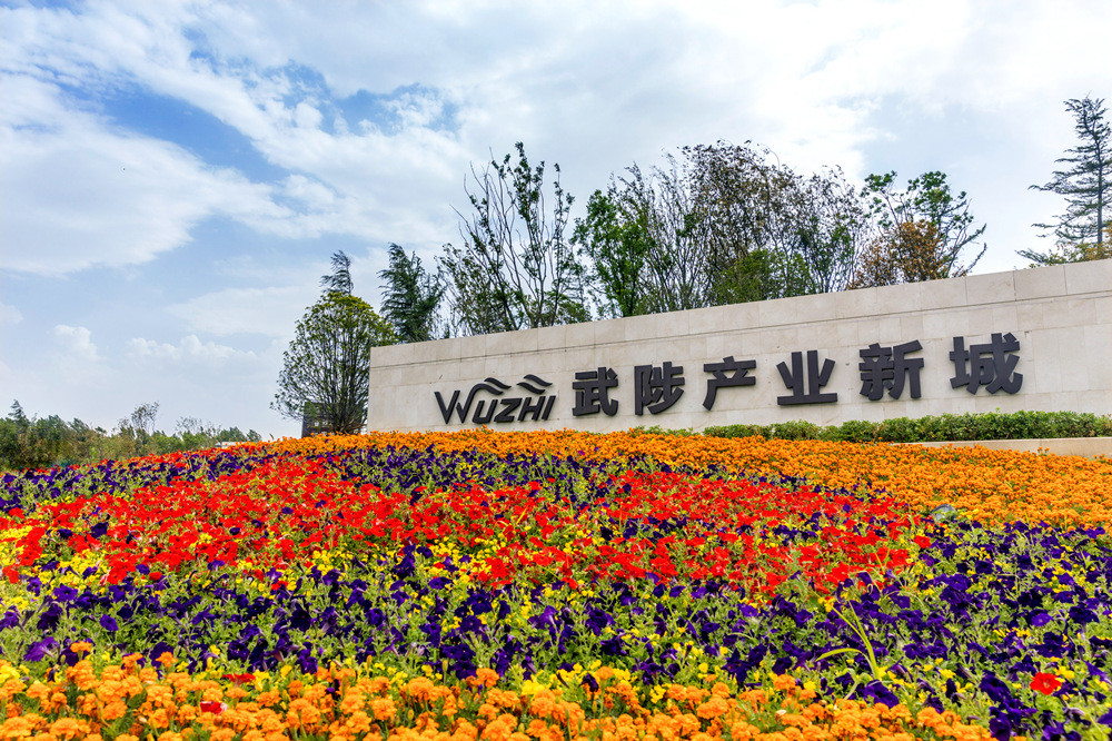 6453d6a816ccd8d3dc63787e29ff95a_副本