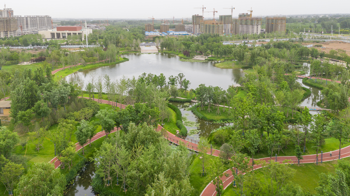 凤仪湖 (19)_副本