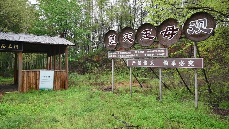 微信图片_20200406171746