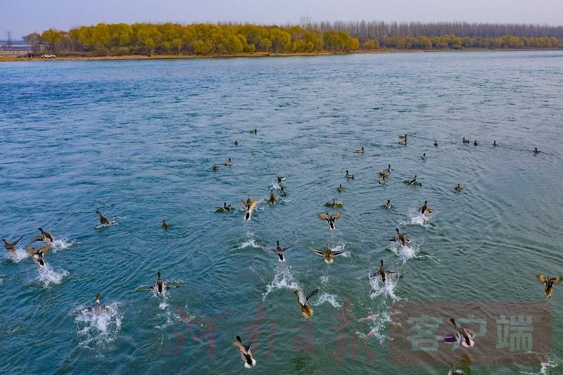 微信图片_20200112091053