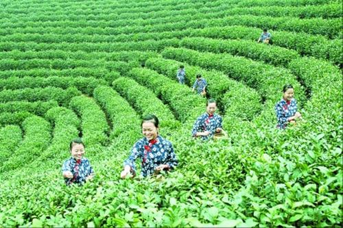 u=136707753,324842914&fm=27&gp=0