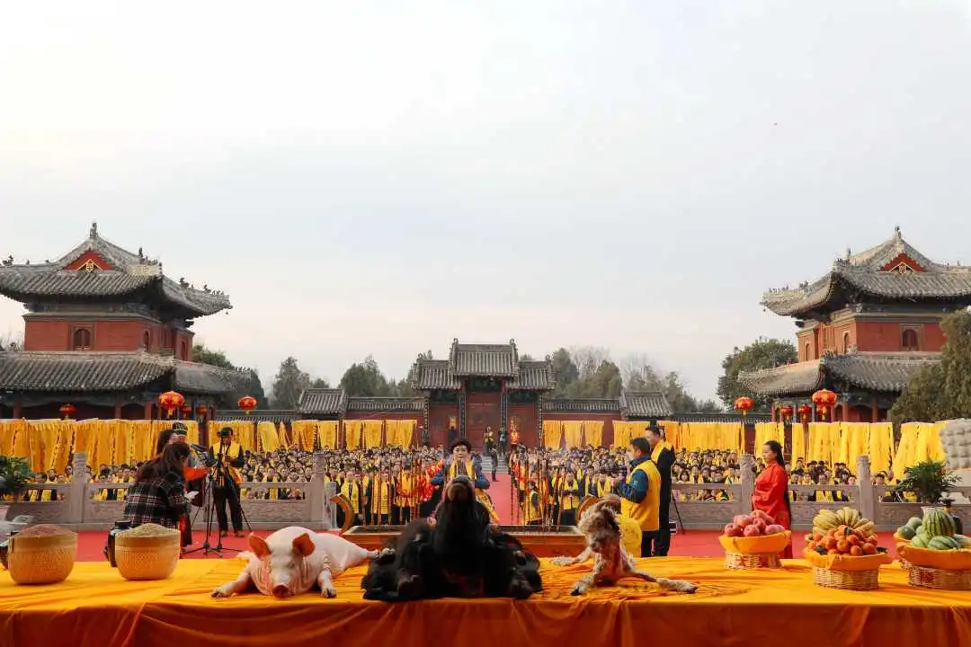 微信图片_20200226195957