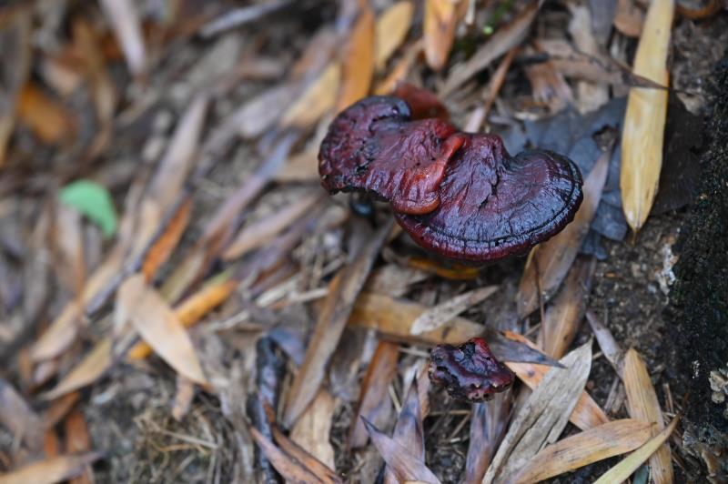 微信图片_20200406171803