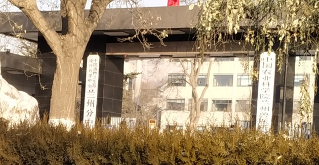 Qq__20191227002616.thumb_head