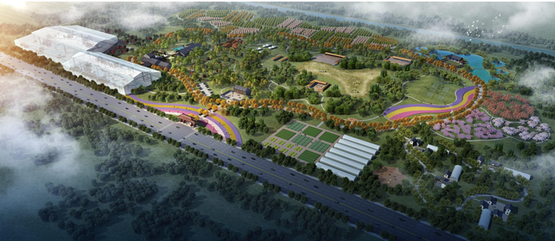 微信图片_20190312221940