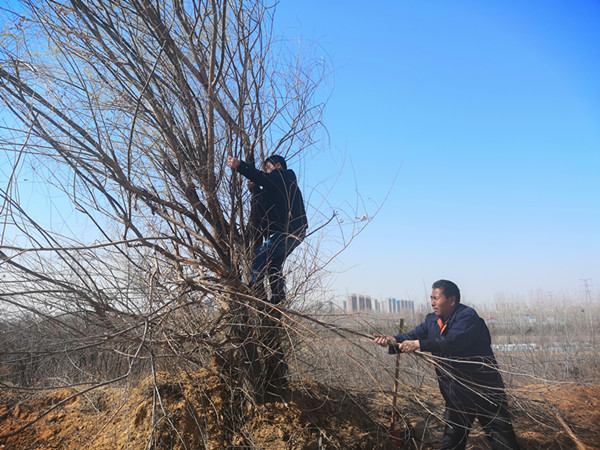 微信图片_20190312222009