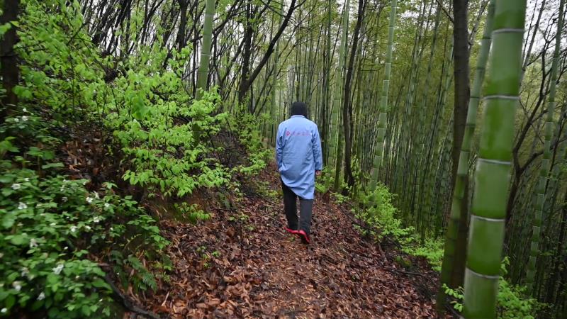 微信图片_20200406171755