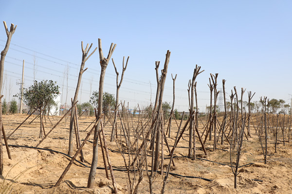 微信图片_20190312221930