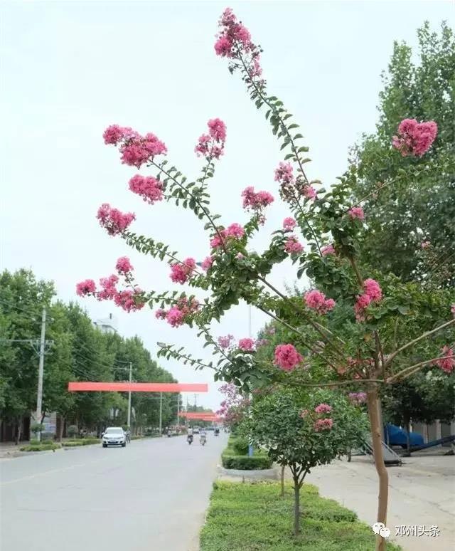 微信图片_20200426112612