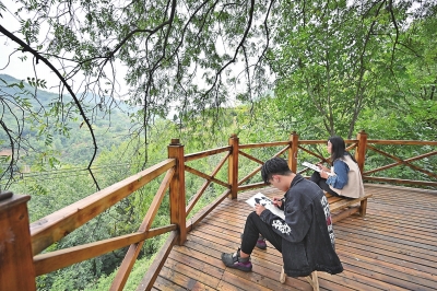 “手绘小镇”吸引众多学子