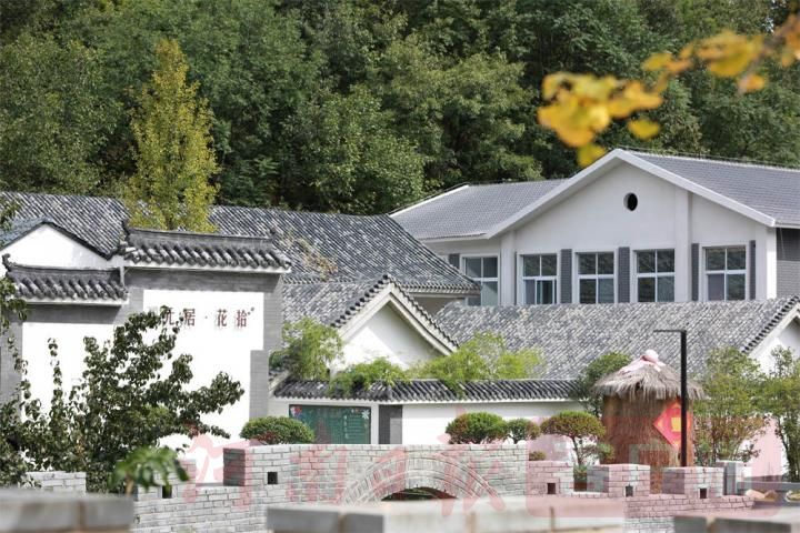 元居花拾.jpg