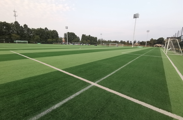 新港村处处体现体育特色。