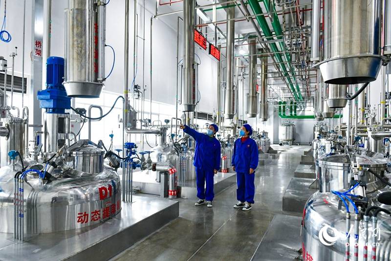 配方颗粒智能车间,中药可实现自动化高效提取。人民网 程明辉摄