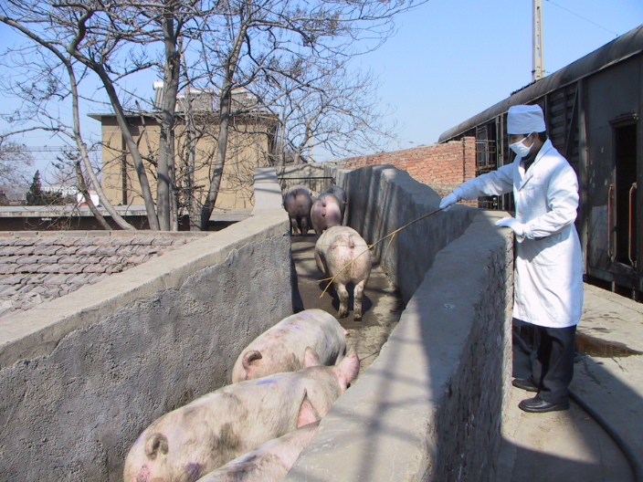 0510a5e71af617e49246a721ea1a067