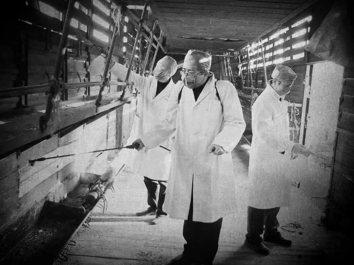 e286eb89ced5cc6f0738e82ad783e62