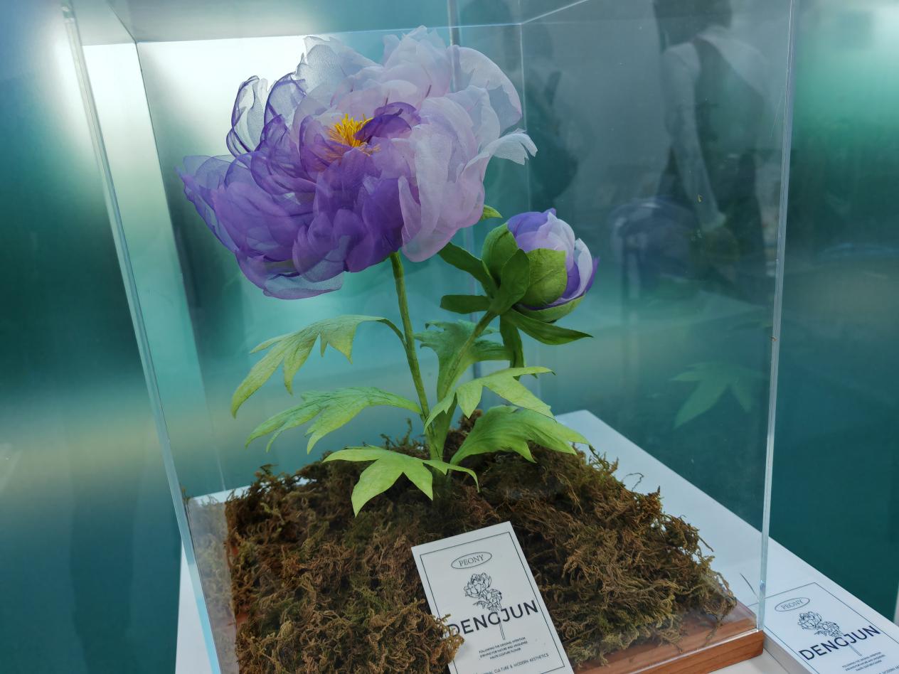 ed264125e0550365c7cf01a5bb35530