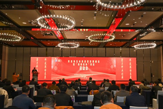 Assessment Report on the Impact of Antitrust Regulation on the Photovoltaic Industry